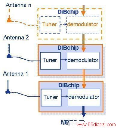 DIBCOM˾ר
