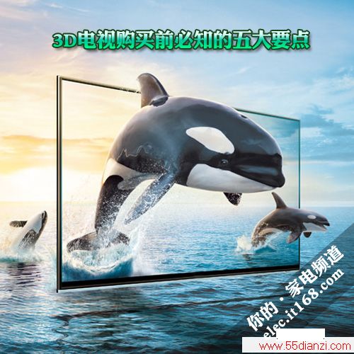 3Dôѡǰ֪ĴҪ