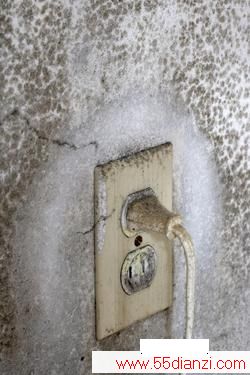 Զ յȫʹýʮ