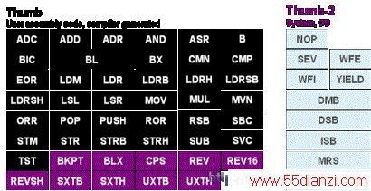 Cortex M0ָ